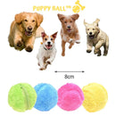 Bolinha de Rolagem Automática - Puppy Ball© + 4 Brindes (Capas de Pelúcia)