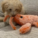 Brinquedo Lagosta para Pets - Lagostim©