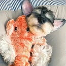 Brinquedo Lagosta para Pets - Lagostim©