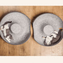 Brinquedo/Cama Rosquinha para Gatos - DonutCats©