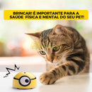 Meu Brinquedo Favorito - Scape Stuart©